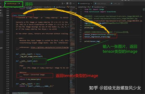 Image result for Pytorch Pic