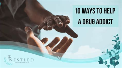 Image result for How to Help Drug Addicts Recover