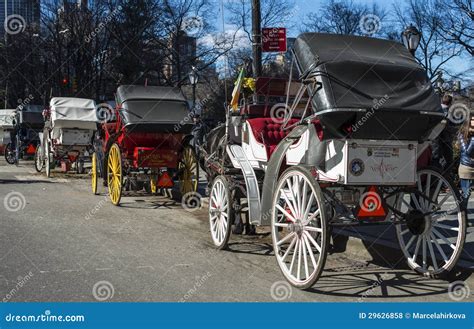 Central Park Carriages editorial stock photo. Image of service - 29626858