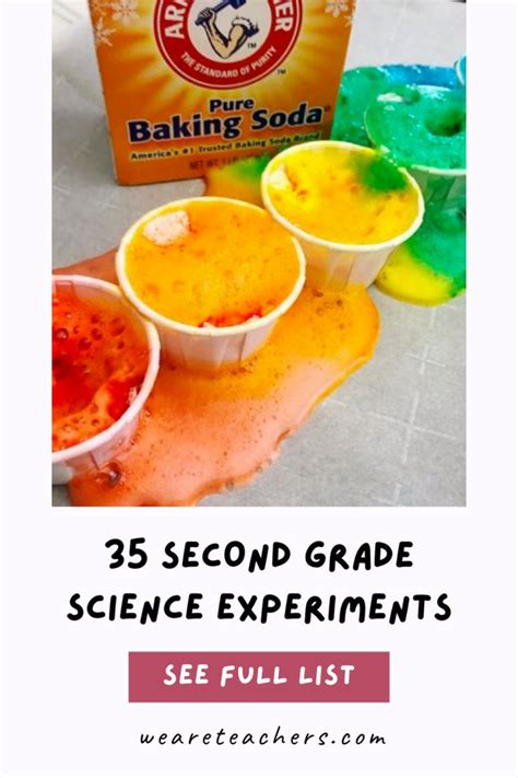 Science Experiments for 2nd Grade 的图像结果