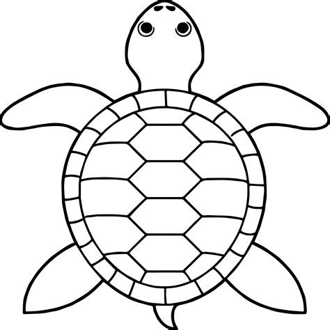 Printable Turtle Outline - prntbl.concejomunicipaldechinu.gov.co