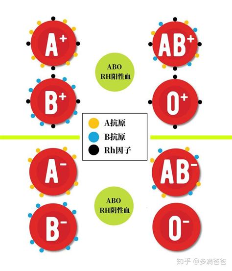 血型和癌症有关？A、B、AB、O型血，哪种血型患癌风险高？|癌症|血型|O型血_新浪新闻