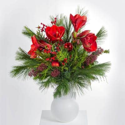 Christmas in red: Order Flowers Online | Interflora India | ID1350291
