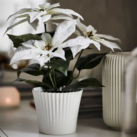 VINTERFINT plant pot, white, 12 cm (4 ¾") - IKEA