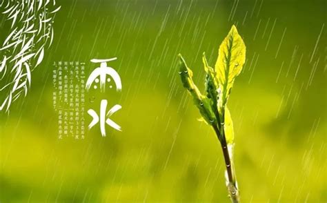 雨水节气的含义是什么_雨水节气的特点和风俗简介_学习力