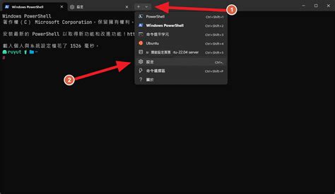 Terminal PowerShell Code 的图像结果