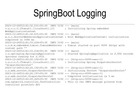 Spring Logging 的图像结果