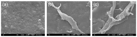 State-of-the-Art Modification of Plastic Aggregates Using Gamma ...