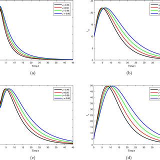 Image result for Fractional Scale Example