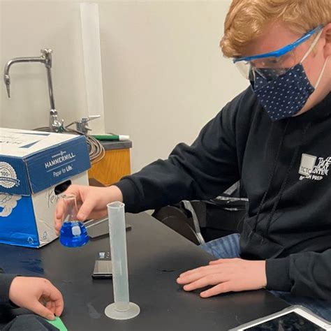 Biotechnology Tree 的图像结果