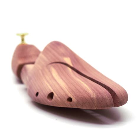 Image result for Shoe Tree Project