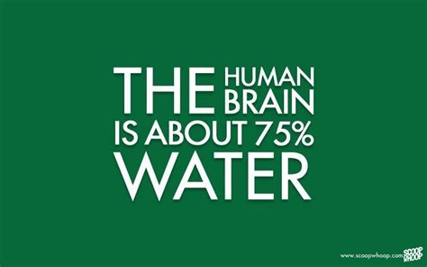 Image result for Super Random Facts