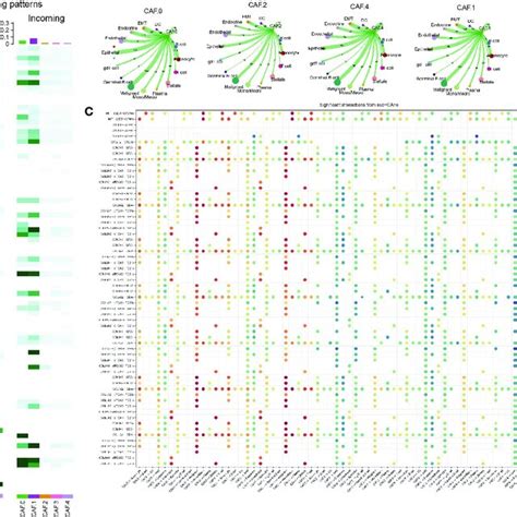 Cell Communication Concept Map 的图像结果