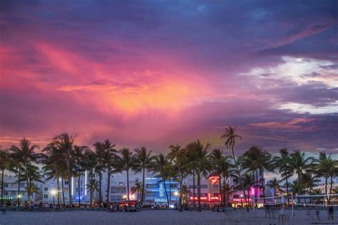 Image result for Spring Break Miami Live