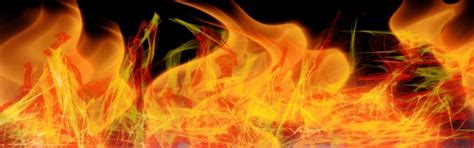 Image result for App Programming Language Script