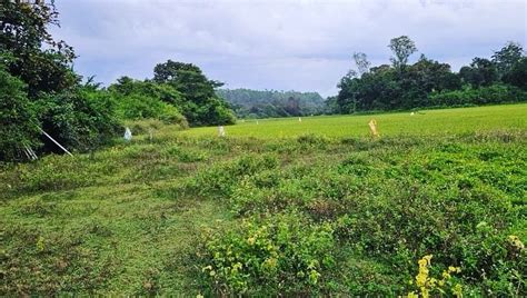 30 Guntha Agricultural/Farm Land for Sale in Sakleshpur, Hassan - by ...
