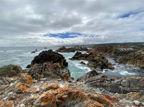 Tarkine Trails (Tullah) - All You Need to Know BEFORE You Go
