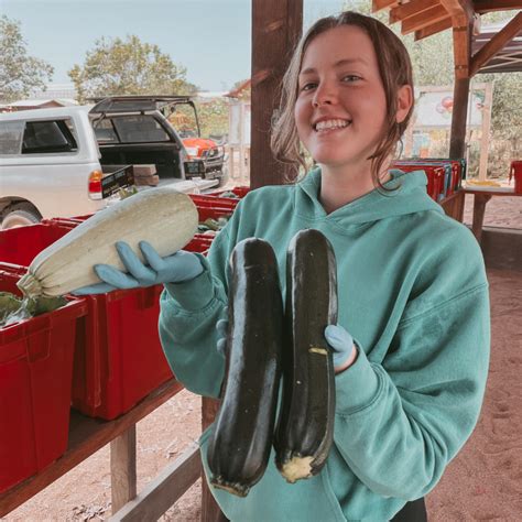 Light Summer Squash Soup Recipe - Coastal Roots Farm