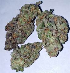 purple urkle strain purple urkle greenpharms purple urkle strain purple urkle greenpharms