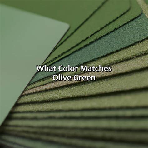 What Color Is Birch - colorscombo.com