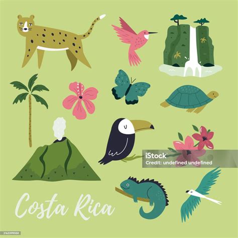 Costa Rica Hand Drawn Illustrated Vector Poster Decoration With Famous Natural Landmarks Animals ...