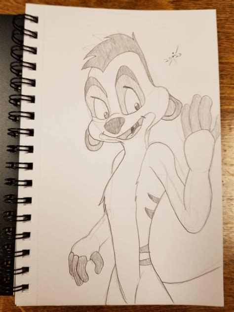 Image result for Timon Drawing