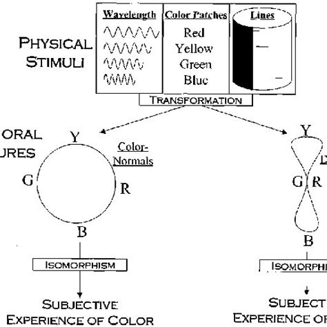 8 Dimensional Color Space 的图像结果