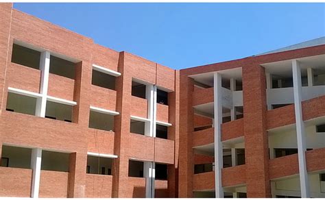 IIM Amritsar records 100% summer placements for second consecutive year