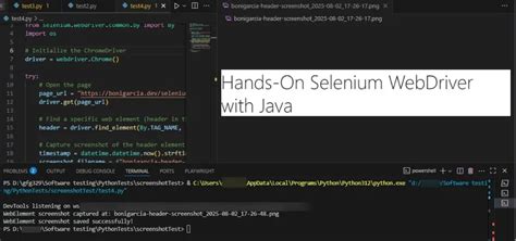 Image result for Java Selenium Screen Shot