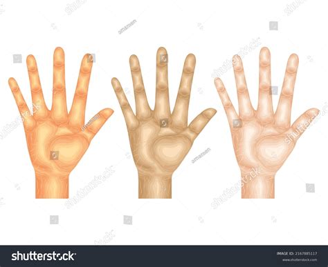 Armpit Display Body Language 的图像结果