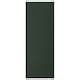 HAVSTORP door, deep green, 30x80 cm (113/4x311/2") - IKEA