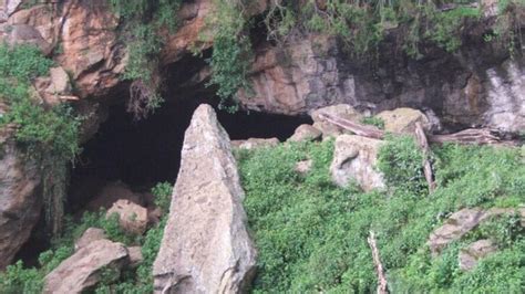 Image result for Computer Science History