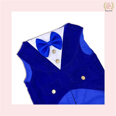 Blue Velvet Tuxedo For Dogs at ₹999 | Shop Dog Birthday Dress – Wrapinfur