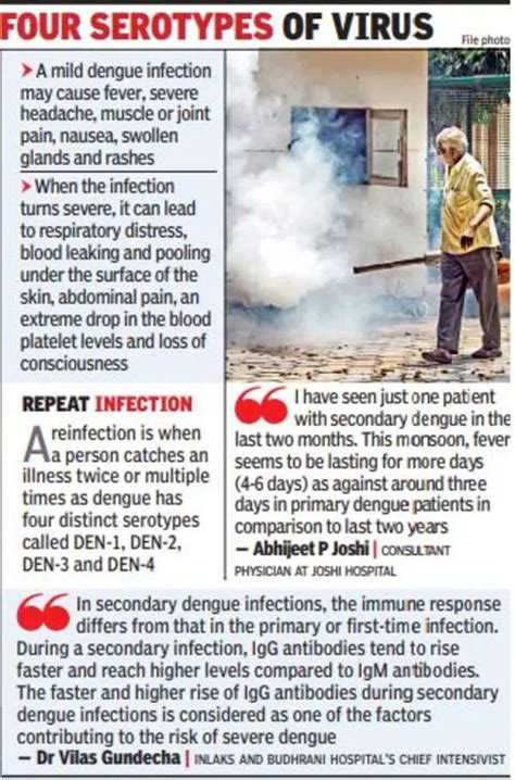 Dengue reinfection cases up; more severe, say doctors | Pune News ...