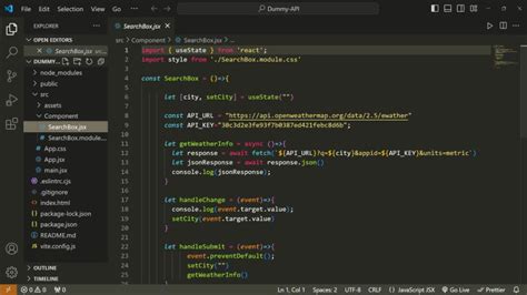 Image result for How to Create Dummy API in React JS