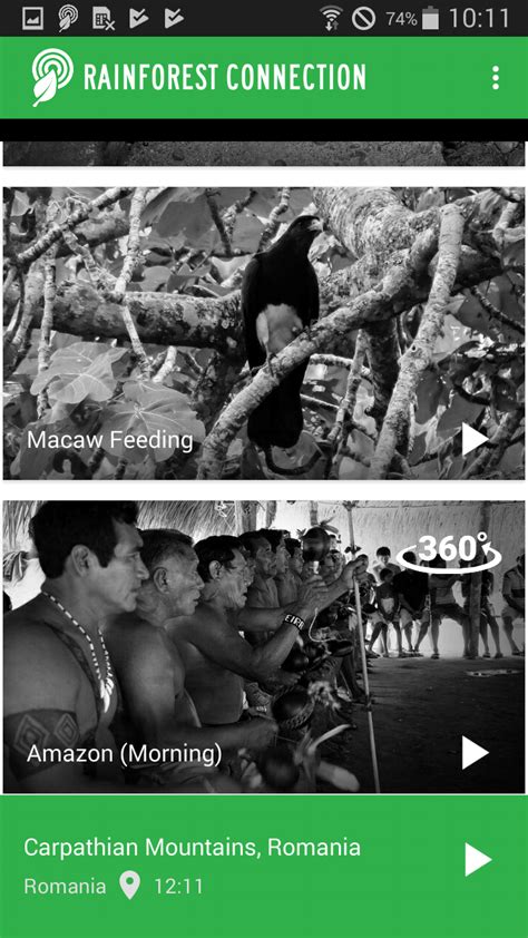 Rainforest Connection permette di ascoltare in tempo reale l'audio ...