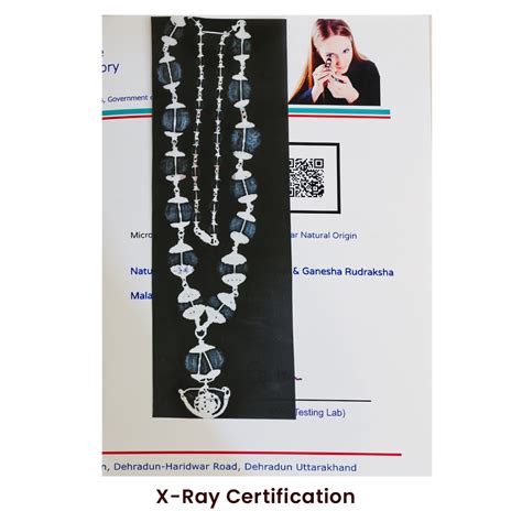 Buy 1-14 Mukhi Rudraksha Mala Online-Nepal Origin | Divine Hindu