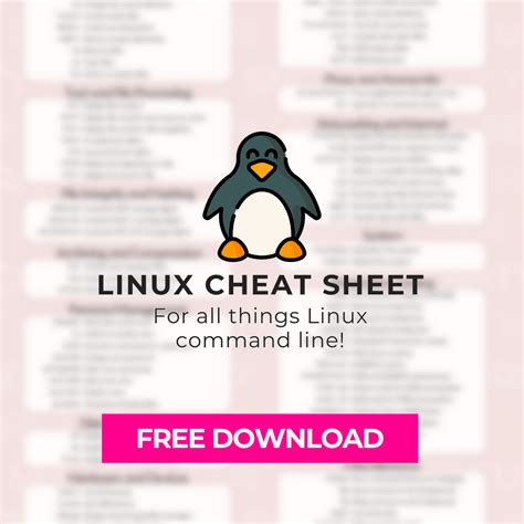 Image result for Amigoscode Linux Cheat Sheet