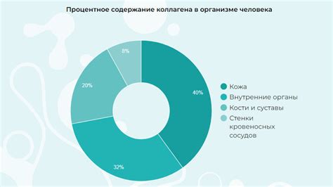 Восполнить коллаген без косметики и инъекций — Alfabiom