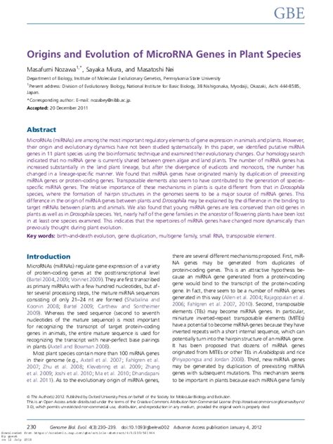 Image result for Gene Expression Control Plant Cells microRNA
