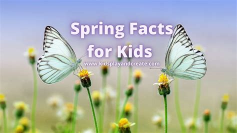 Unusual Facts About Spring