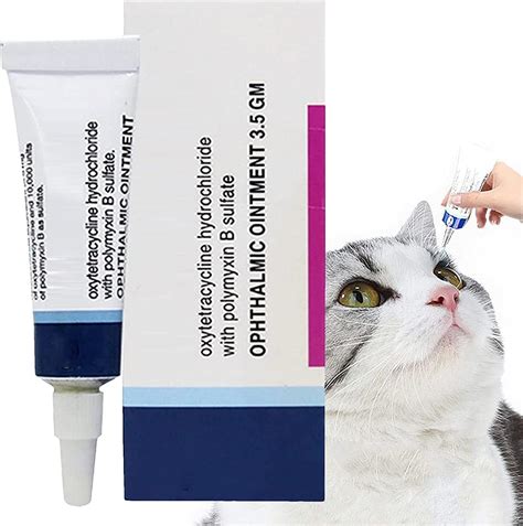 How To Keep Your Cats Eyes Healthy And Clear