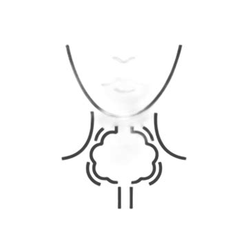 Medical Laboratory Testing and Full Body Checkup Services in India ...