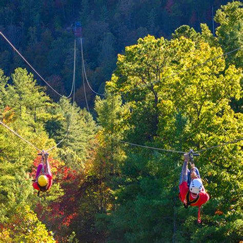 Red River Gorge Zipline is an exhilarating, high flying adventure for ...