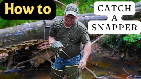Image result for Catching Snapping Turtles