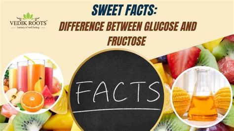 Key Difference Between Glucose and Fructose – Vedikroots