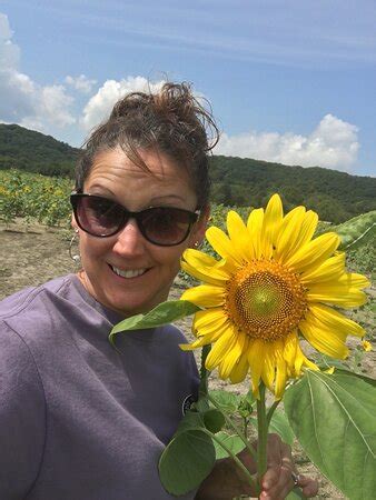 Brookdale Farms (Eureka) - 2021 What to Know Before You Go (with Photos ...