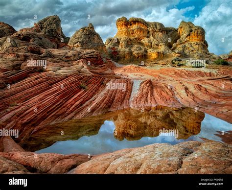White Pocket with rain water pools. Vermilion Cliffs National Monument ...