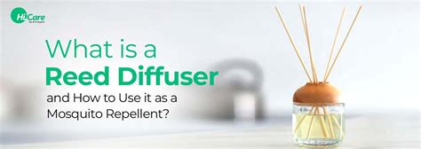 What is Reed Diffuser and How do Reed Diffusers Work | HiCare