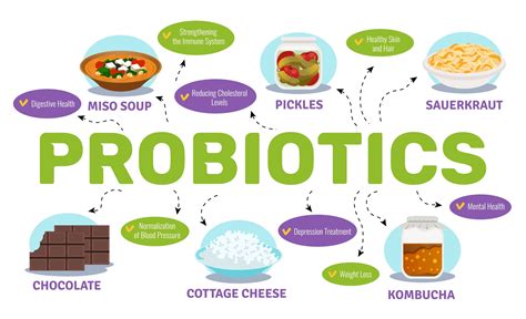 Best Probiotics for Gut Health and Bloating: Complete Guide | DIY Active